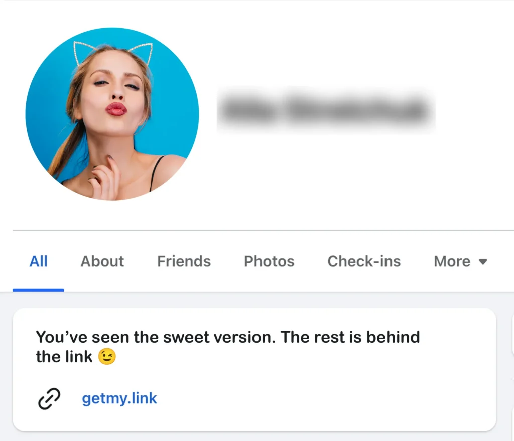 Screenshot of a Facebook profile with a safe but intriguing bio